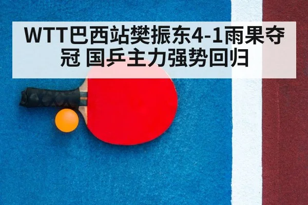 ping pong racket
